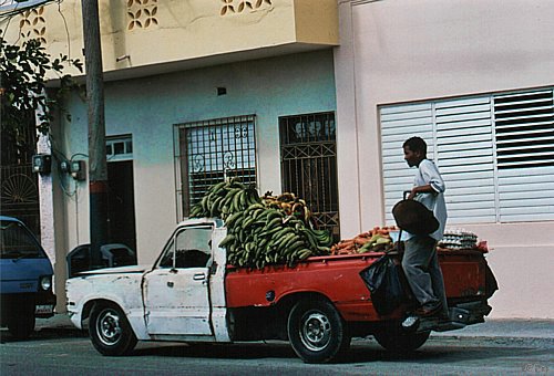 kariib_lavka2.jpg
