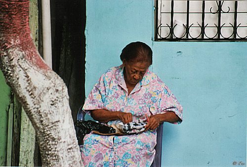 kariib_mutt.jpg