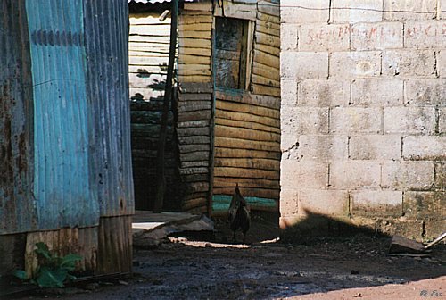 kylatanav.jpg