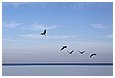 IMG_1856.JPG