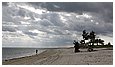 IMG_2208.JPG