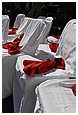 IMG_1656.JPG