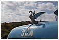 IMG_2033.JPG