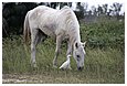IMG_2146.JPG
