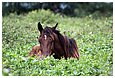 IMG_2148.JPG