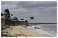 IMG_2163.JPG