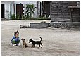 IMG_2178.JPG