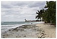 IMG_2181.JPG