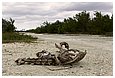 IMG_2187.JPG