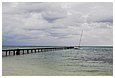 IMG_2209.JPG