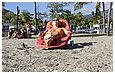 IMG_2426.JPG
