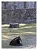 IMG_1198.JPG