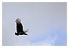 IMG_1389.JPG