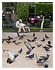 IMG_1411.JPG