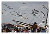 IMG_1504.JPG