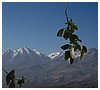 IMG_8327.JPG