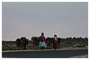 IMG_8533.JPG
