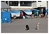 IMG_8860.JPG