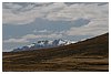IMG_8435.JPG