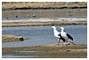 IMG_8449.JPG