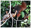 IMG_9605.JPG