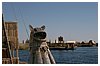 IMG_8559.JPG