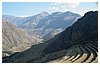 IMG_9013.JPG