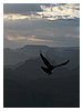 IMG_8170.JPG