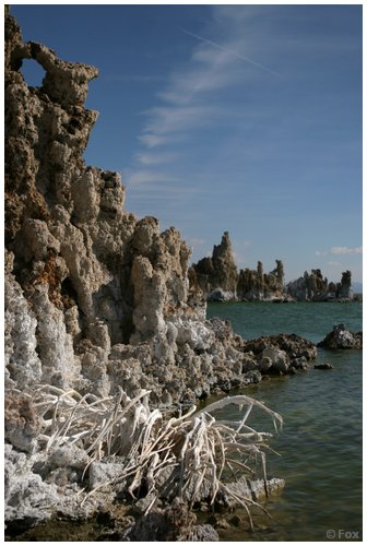 IMG_8860.JPG