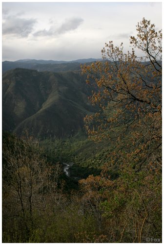 IMG_8898.JPG