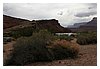 IMG_8576.JPG