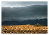 IMG_8832.JPG