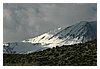 IMG_8879.JPG