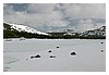 IMG_8886.JPG