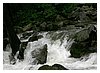 IMG_8990.JPG