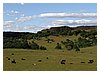 IMG_9018.JPG