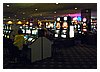 IMG_7929.JPG