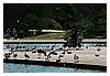 IMG_9082.JPG