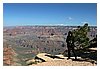 IMG_7995.JPG
