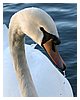 IMG_8967.JPG