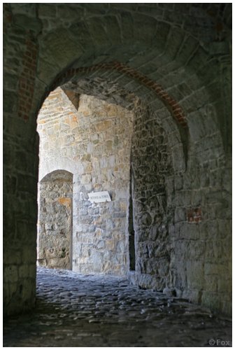 IMG_6898.JPG