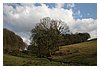 IMG_6622.JPG