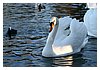 IMG_9032.JPG