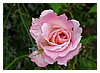 P1010100.JPG