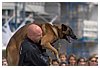 IMG_7075.jpg