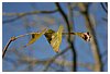 IMG_5642.JPG