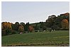 IMG_5693.JPG