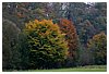 IMG_5738.JPG
