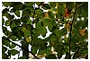 IMG_5750.JPG