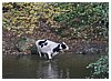 IMG_5756.JPG